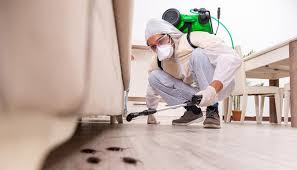 Best Bed Bug Extermination  in Bowmanstown, PA